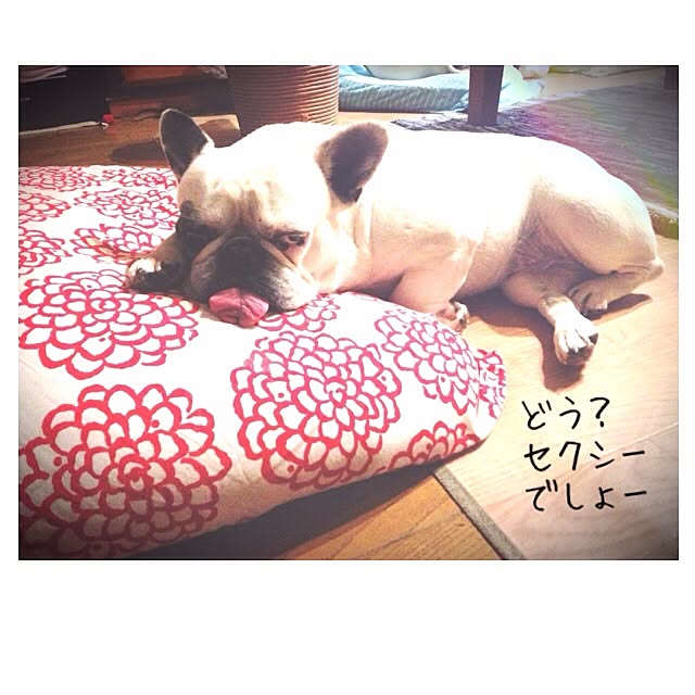 38coreさんの実例写真