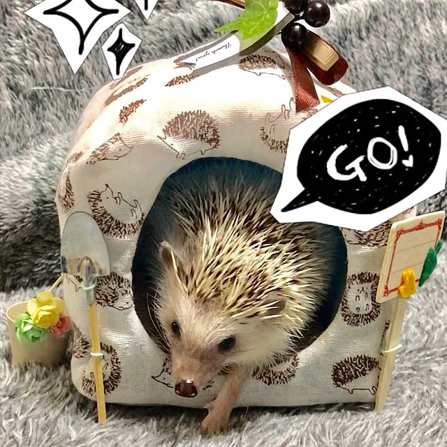 Sarionさんの実例写真