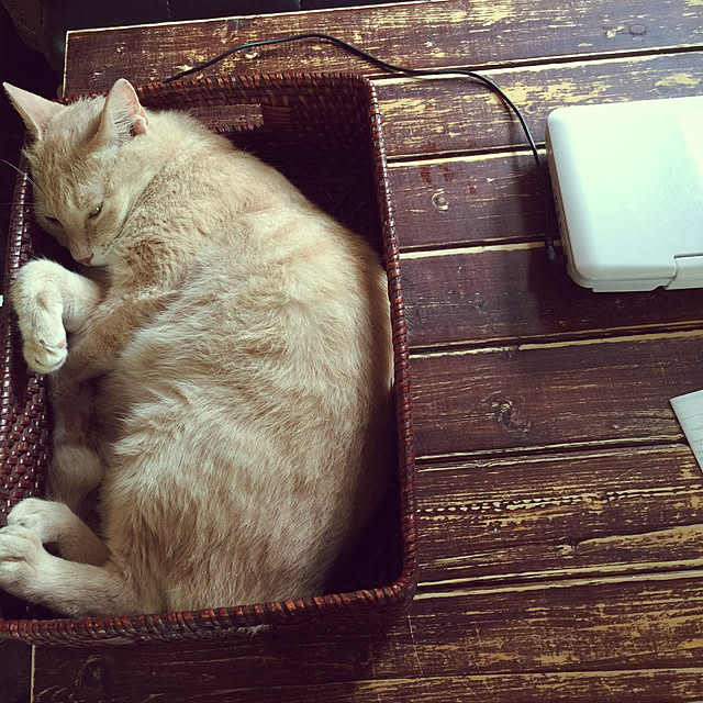 mikan161さんの実例写真