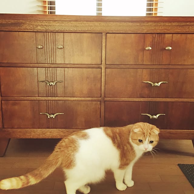 uniさんの実例写真