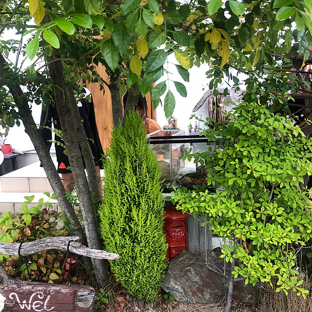 Yukoさんの部屋