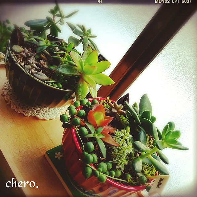 chero.さんの実例写真