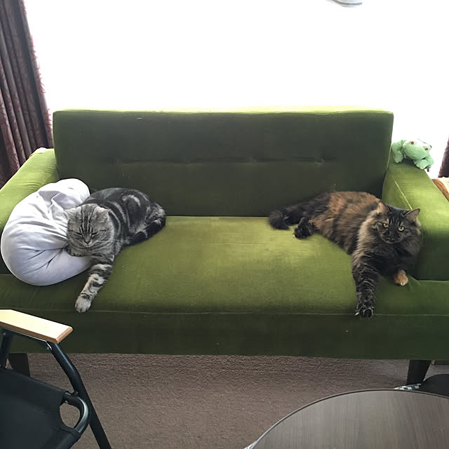 mikomaruさんの実例写真