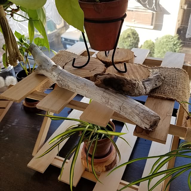 midoriさんの部屋