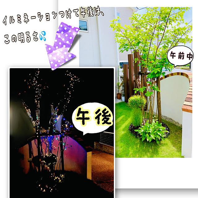 hinamamaさんの実例写真