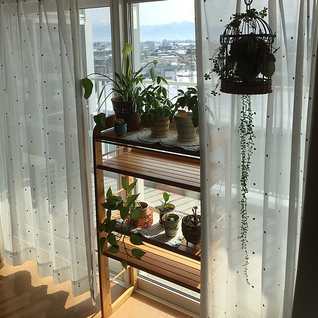kyokoさんの実例写真