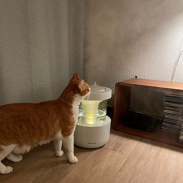lalaさんの実例写真