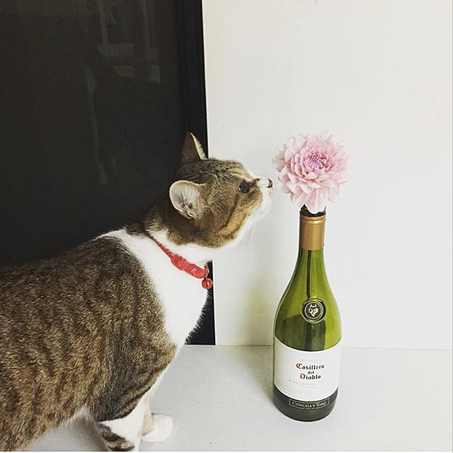 komacake3さんの実例写真