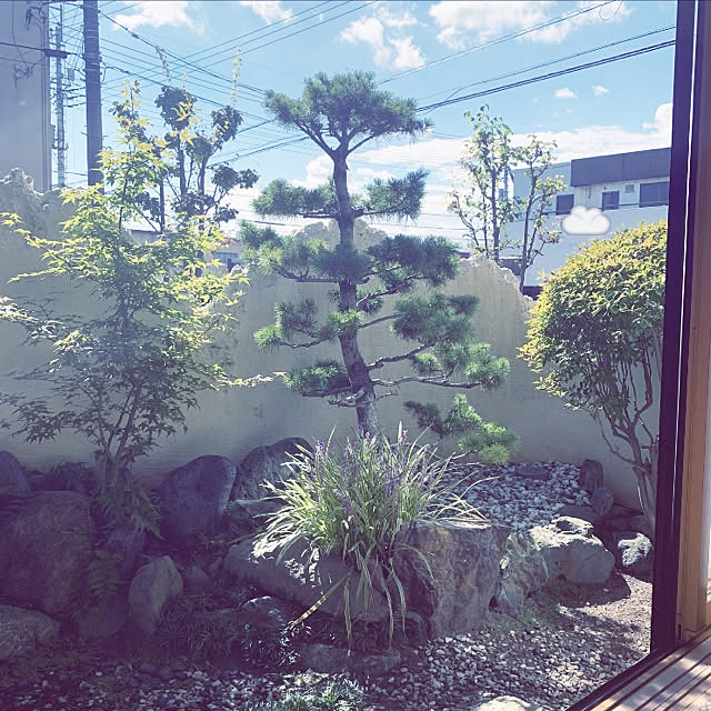 yumi.fさんの実例写真