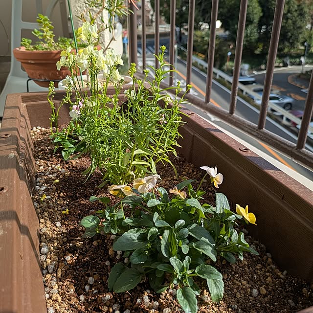 mi-saさんの実例写真