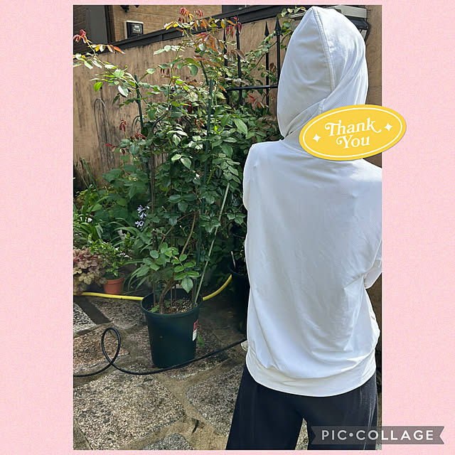 fumikoiさんの部屋