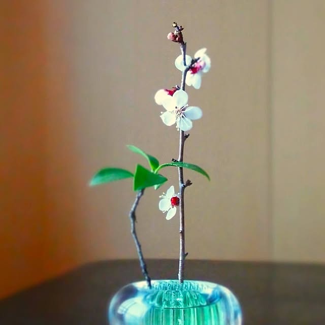 spn871さんの実例写真
