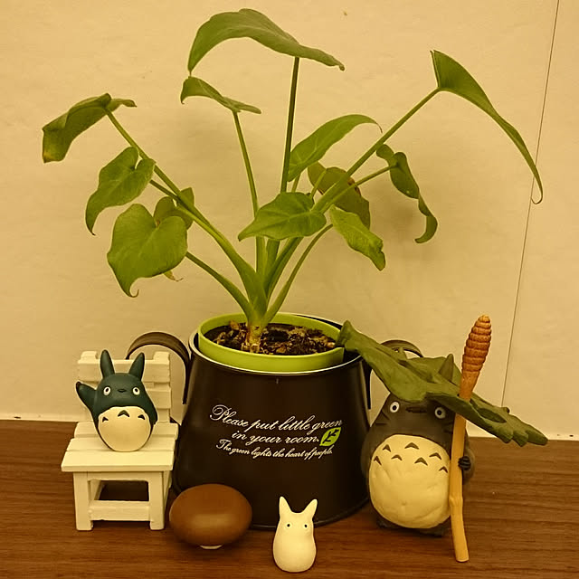 nitti.zakka.kohakuさんの実例写真