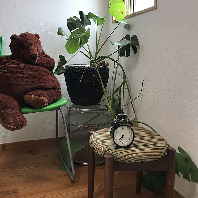 hachi1023さんの実例写真
