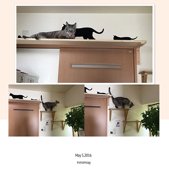 miu0327さんの実例写真