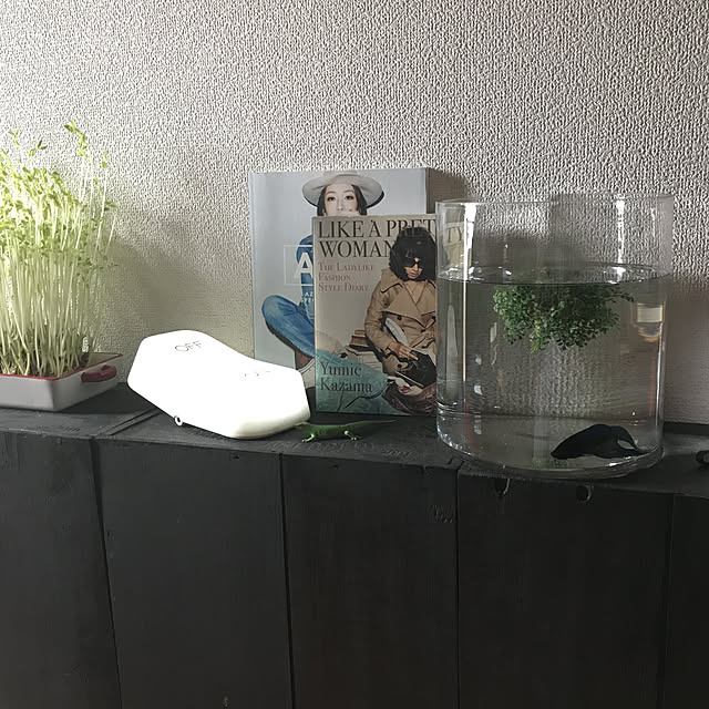 mayuさんの実例写真