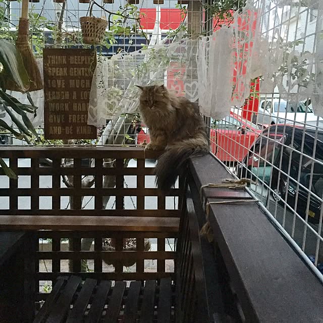 butachanさんの実例写真