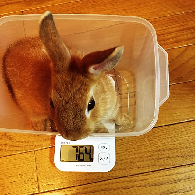 mariさんの実例写真