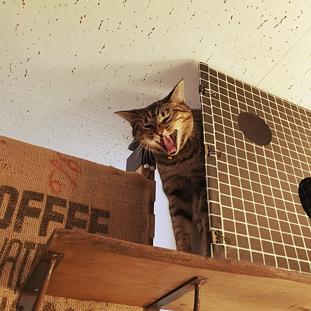 Mさんの実例写真