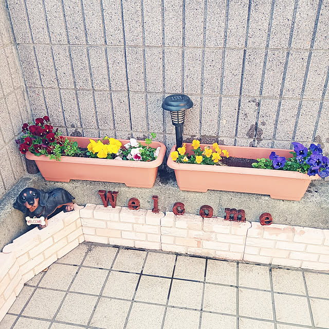 ckkさんの実例写真