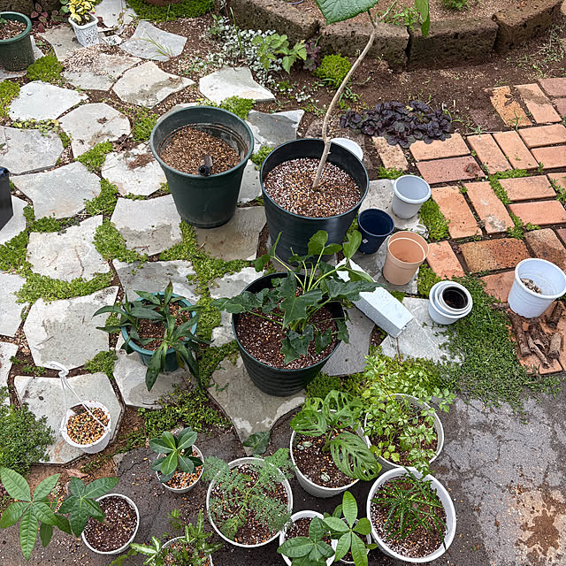 yunroomさんの部屋