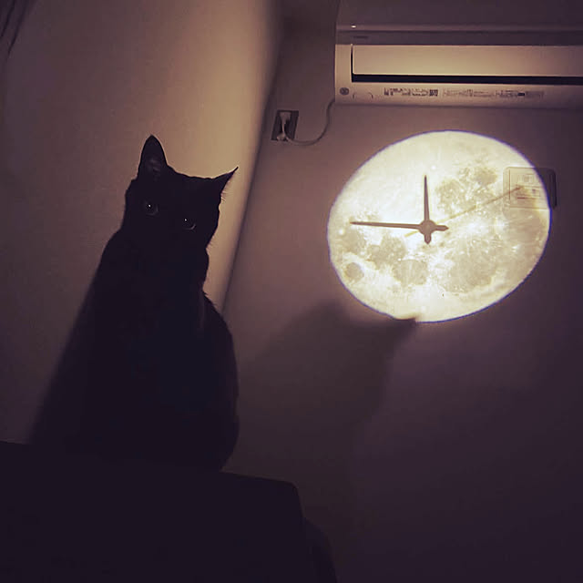 pachicoさんの実例写真