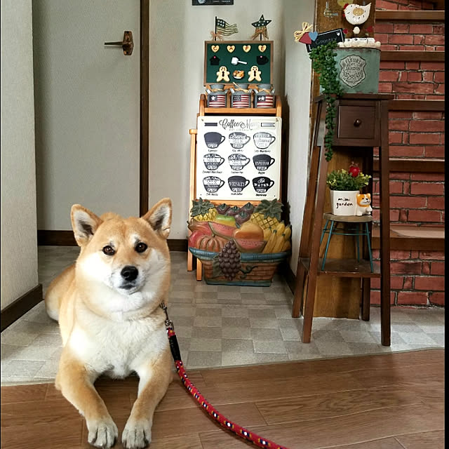 nanaさんの実例写真