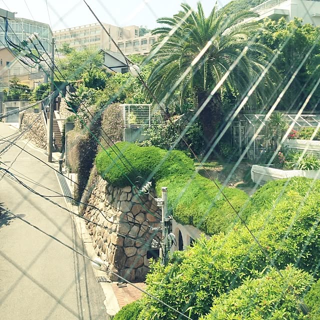 konaminさんの実例写真