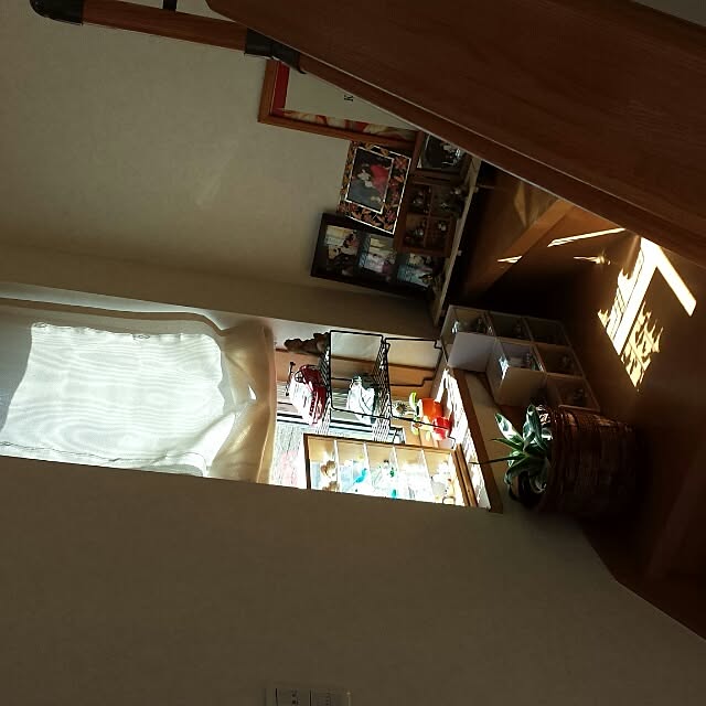 Shinobuさんの実例写真