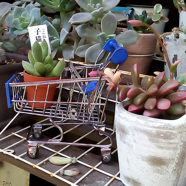mariagardenさんの実例写真