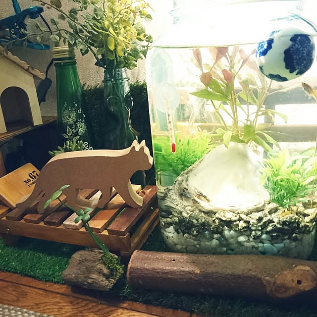 sanaewさんの実例写真