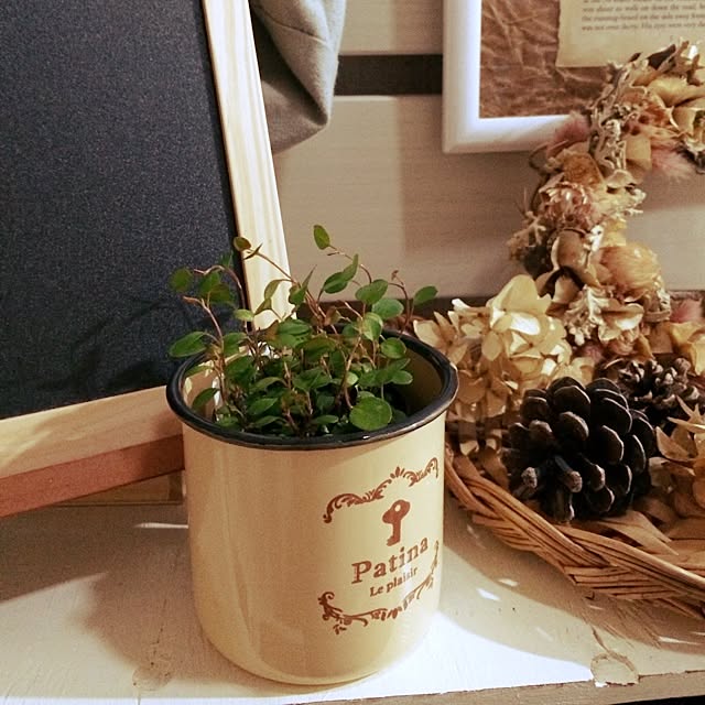 pandaさんの部屋