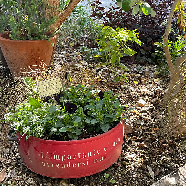 nobikoさんの部屋