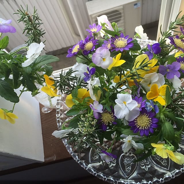 scabiosa1982さんの実例写真