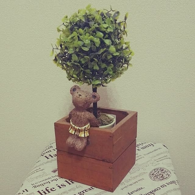 chi---koさんの実例写真