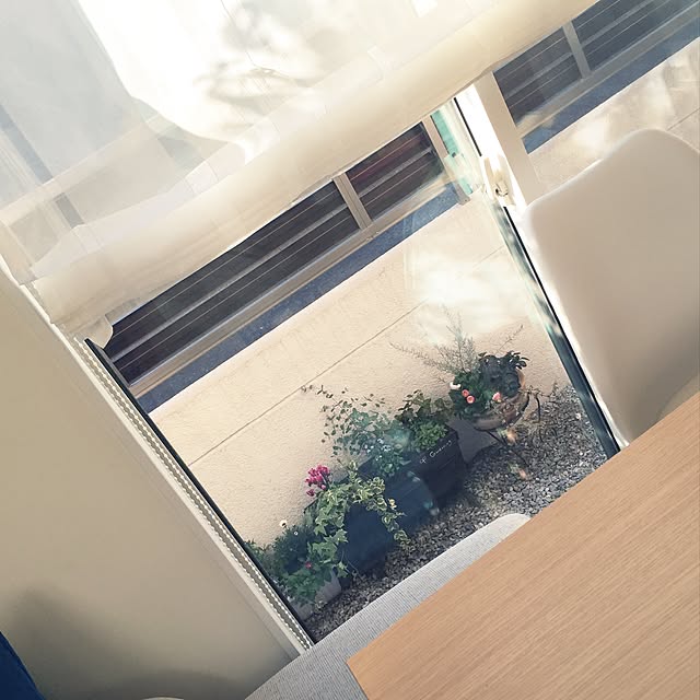 Iwaseさんの実例写真