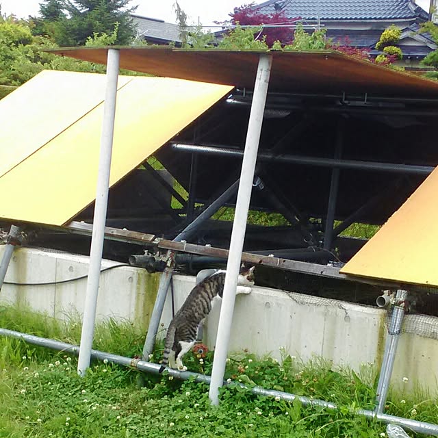 otubuさんの実例写真