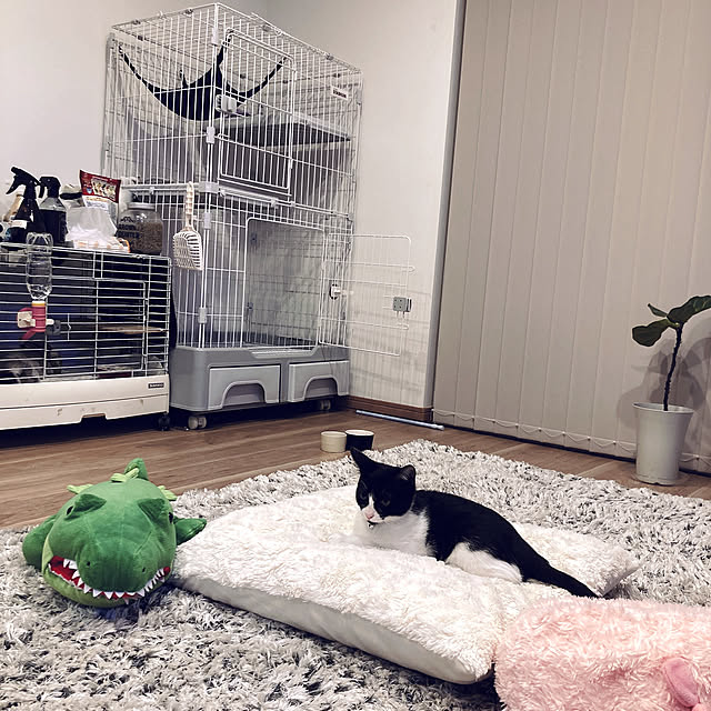 makittyさんの実例写真