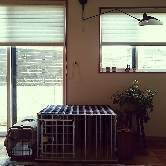 mignonさんの実例写真