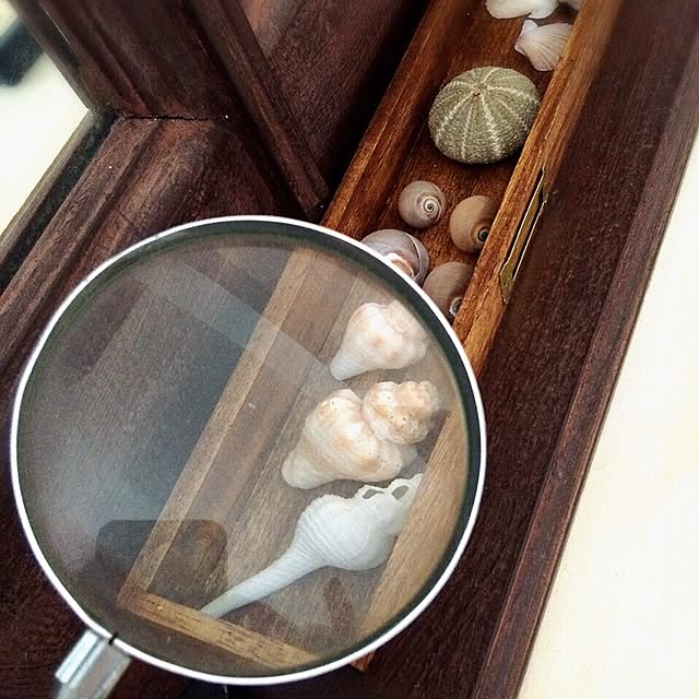 kinekoさんの実例写真