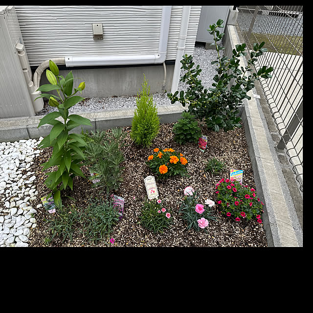Hさんの実例写真
