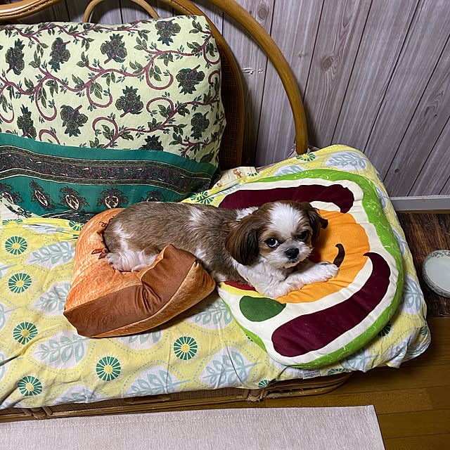 SHIHOさんの実例写真