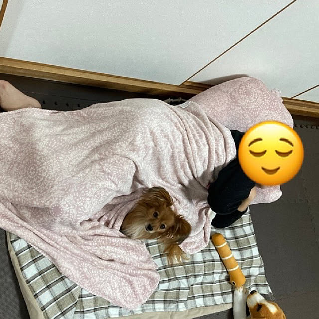 toratanさんの実例写真