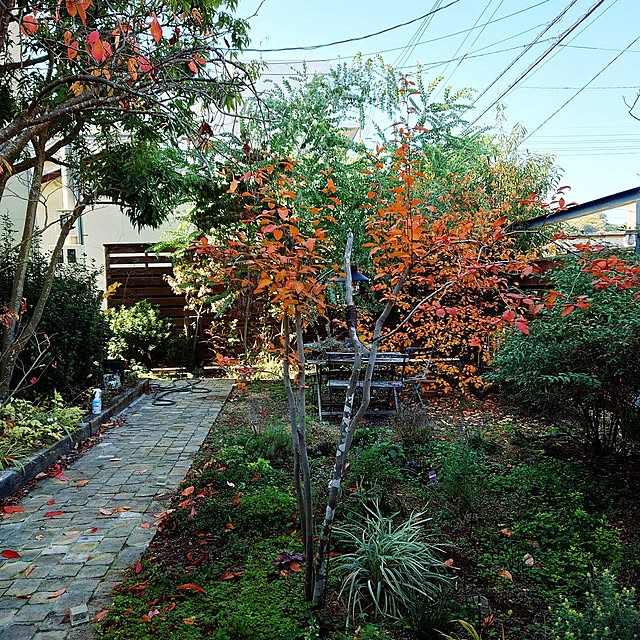 asmaさんの実例写真