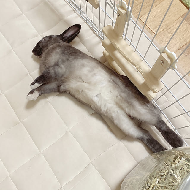fumofumoさんの実例写真