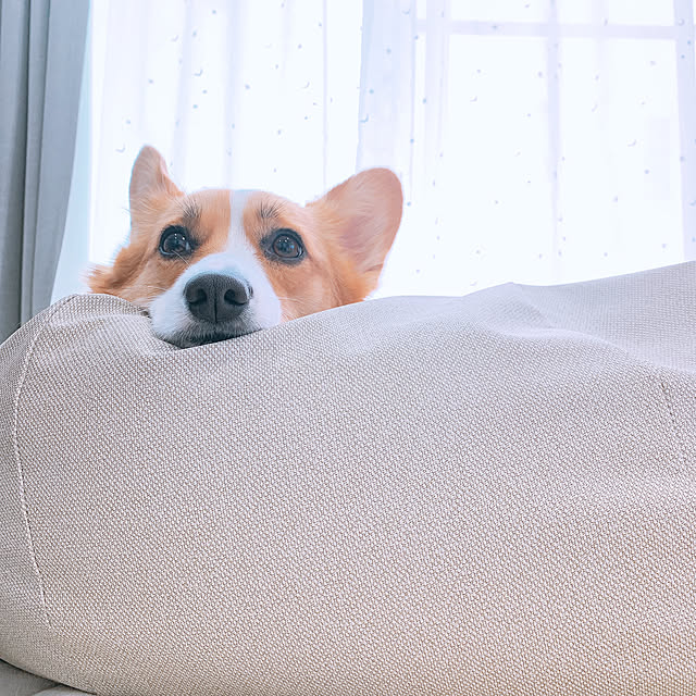 3ayuさんの実例写真