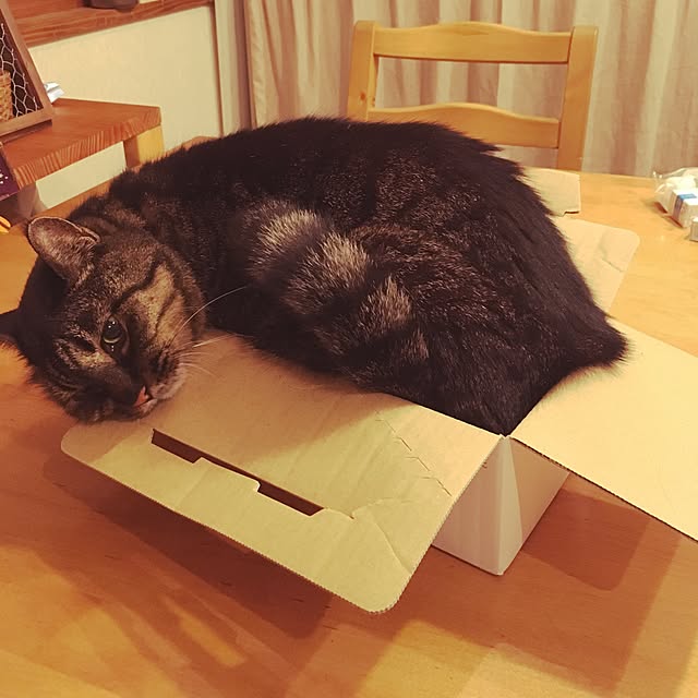 buchikoさんの実例写真