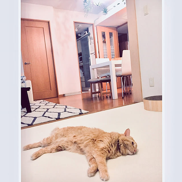 Ryokoさんの実例写真