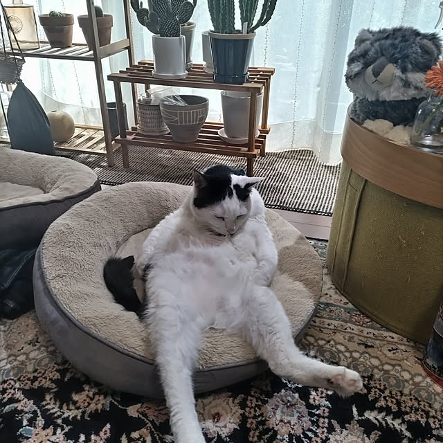 yuuさんの部屋