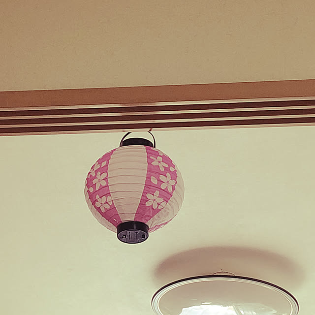 ayuさんの実例写真